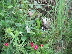 zone 2