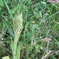 zone 3