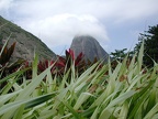 Rio