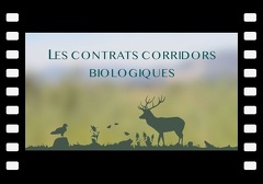 La mise en place des Contrats Corridors Biologiques au sein du Grand-Genève