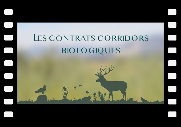 La mise en place des Contrats Corridors Biologiques au sein du Grand-Genève